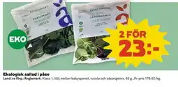 Coop Ekologisk Sallad i Påse erbjuda