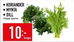 Matdax Koriander • mynta • dill erbjuda