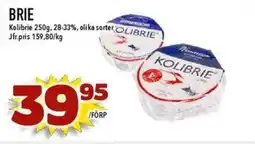 Matdax KOLIBRIE Brie erbjuda