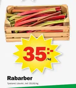 Pekås Rabarber erbjuda