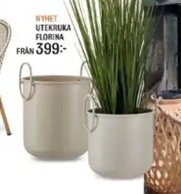 Mio Utekruka florina erbjuda