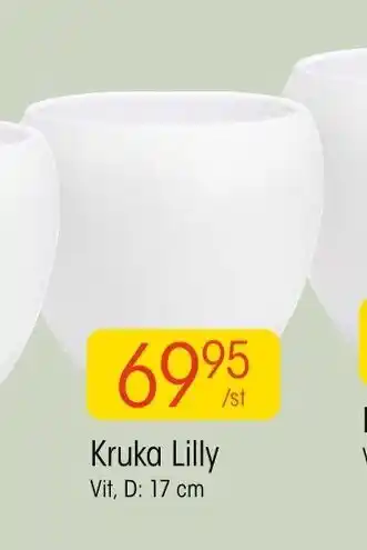 EKO Kruka Lilly 17 cm erbjuda
