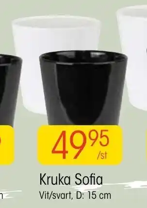 EKO Kruka Sofia 15 cm erbjuda