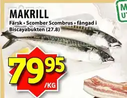 Matvärlden Tensta MAKRILL erbjuda