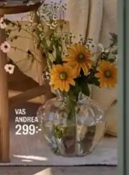 Mio Vas andrea erbjuda