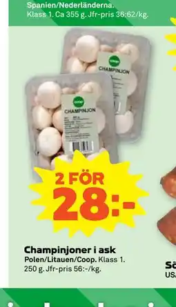 Stora Coop Champinjoner i ask erbjuda