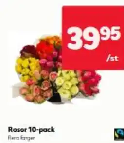 Hemköp Rosor 10-pack Flerci Farger erbjuda