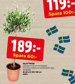 Jem&Fix Olivträd erbjuda