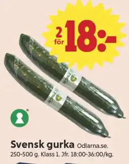 ICA Nära Svensk gurka erbjuda