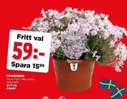 Jem&Fix Perenner erbjuda