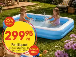 EKO Familjepool Bestway erbjuda