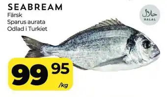Matrix Butikerna Seabream erbjuda