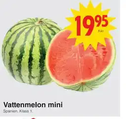 Matöppet Vattenmelon mini erbjuda