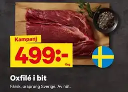 City Gross Oxfilé i bit erbjuda