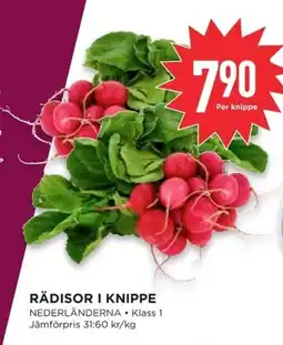 Willys Rädisor i knippe erbjuda