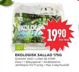 Willys GARANT Ekologisk sallad erbjuda
