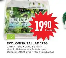 Willys EKOLOGISK SALLAD 175G erbjuda
