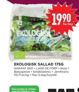Willys Hemma EKOLOGISK SALLAD 175G erbjuda