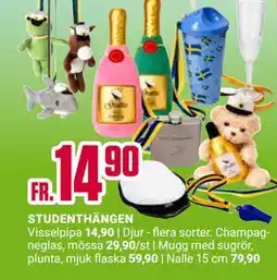 ÖoB STUDENTHÄNGEN erbjuda