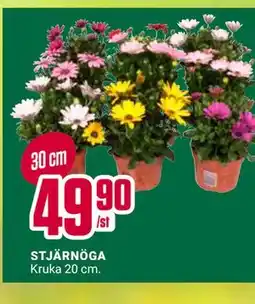 ÖoB STJÄRNÖGA erbjuda