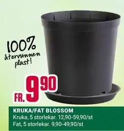 ÖoB KRUKA/FAT BLOSSOM erbjuda