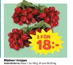 Coop Daglivs Rädisor i knippe erbjuda