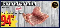 Supergrossen Lammframdel erbjuda