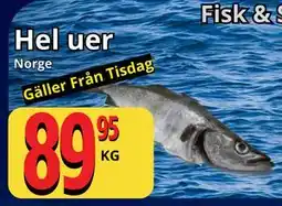 Supergrossen Hel uer erbjuda
