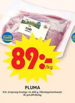 ICA Maxi ICA Pluma erbjuda