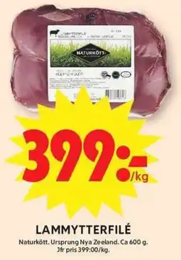 ICA Maxi Lammytterfilé erbjuda