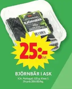 ICA Maxi ICA Björnbär i ask erbjuda