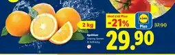 Lidl Apelsiner erbjuda