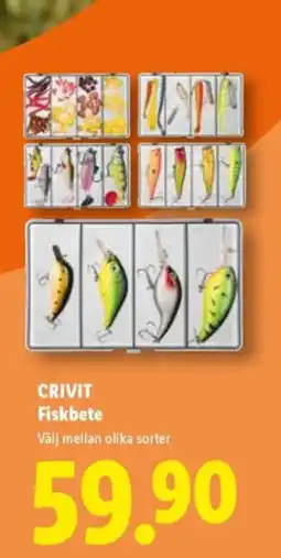 Lidl CRIVIT Fiskbete erbjuda