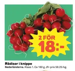 Coop Rädisor i knippe erbjuda