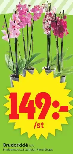 ICA Supermarket Brudorkidé erbjuda