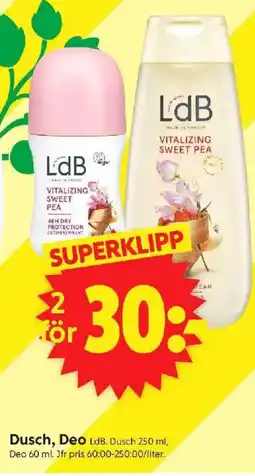 ICA Supermarket LDB Dusch, deo erbjuda