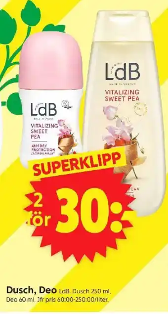 ICA Supermarket LDB Dusch, deo erbjuda