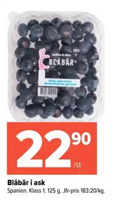 Coop Extra Blåbär i ask erbjuda