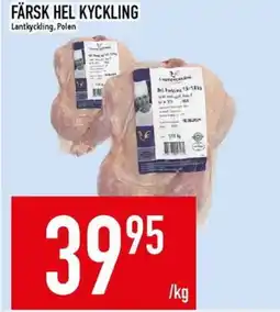 Matdax LANTKYCKLING Färsk hel kyckling erbjuda