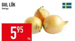 Matdax Gul lök erbjuda