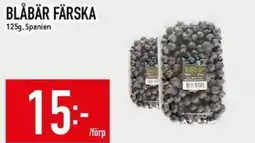 Matdax Blåbär färska erbjuda