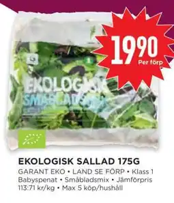 Willys EKOLIGISK SALLAD 175G erbjuda