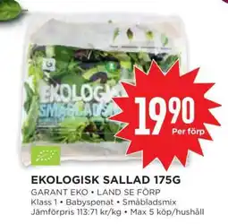 Willys EKOLGISK SALLAD 175G erbjuda