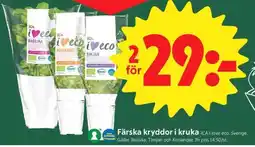 ICA Supermarket Färska kryddor i kruka erbjuda