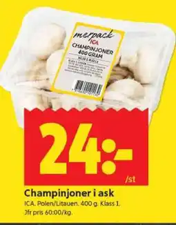 ICA Supermarket CHAMPINJONER I ASK erbjuda