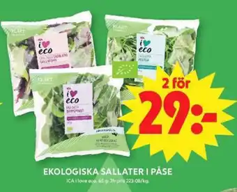 ICA Supermarket EKOLOGISKA SALLATER I PÅSE erbjuda