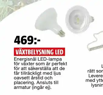Bauhaus Växtbelysning led erbjuda