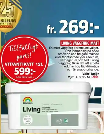 Bauhaus Living väggfärg matt erbjuda