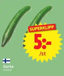 Nya Pulsen Gurka erbjuda