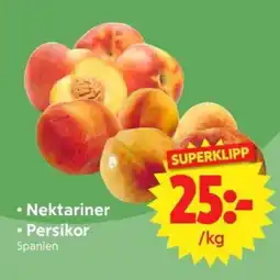 Nya Pulsen Nektariner erbjuda